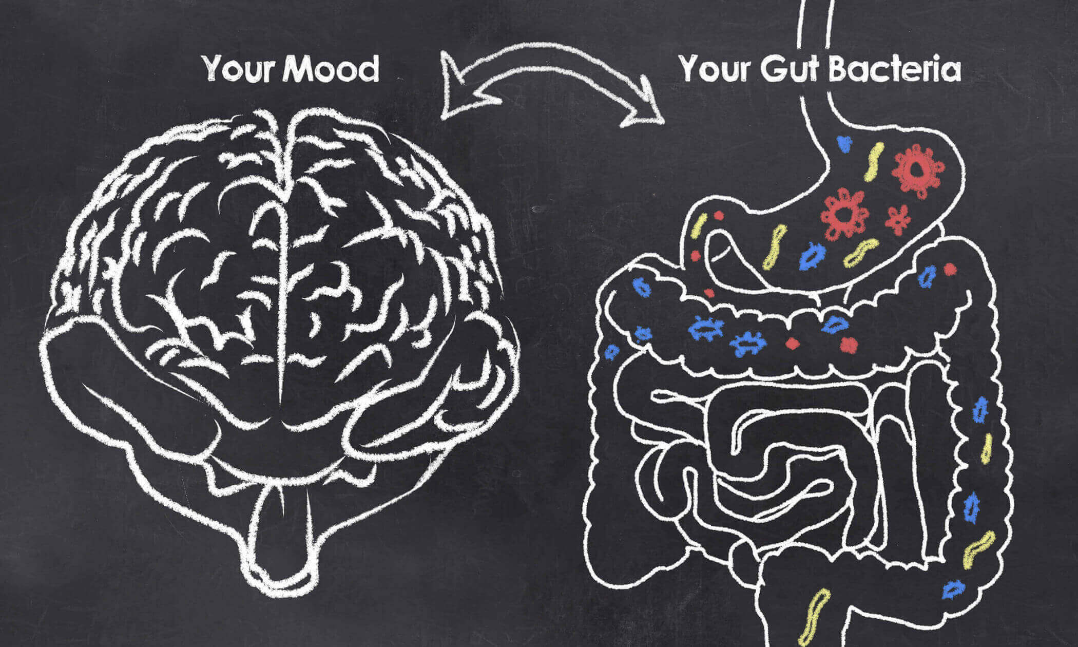 The Gut-Skin Connection | Hero Cosmetics